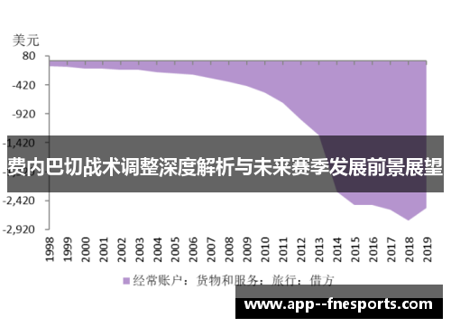 费内巴切战术调整深度解析与未来赛季发展前景展望