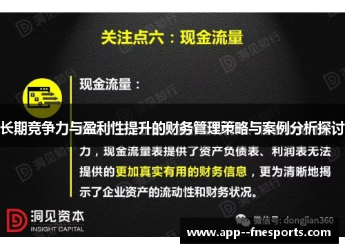 长期竞争力与盈利性提升的财务管理策略与案例分析探讨